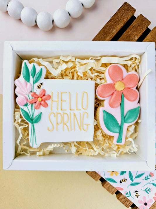 Spring Coral Option 1