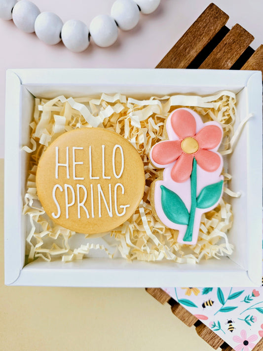 Spring Coral Option 2